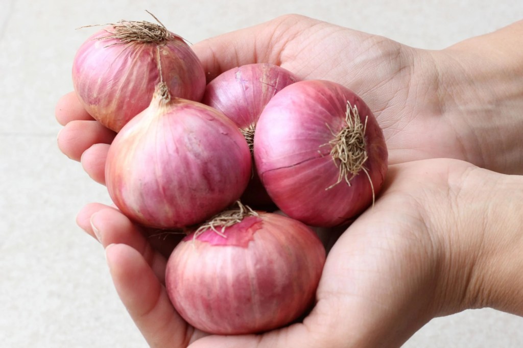 確診後吃什麼？新冠康復期的五行飲食調養法