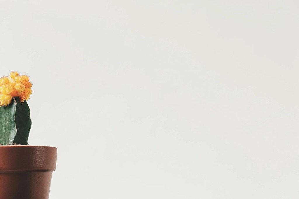 永續不等於極簡：從身體出發的個人節奏建立